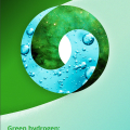 Green hydrogen: Energizing the path to net zero
